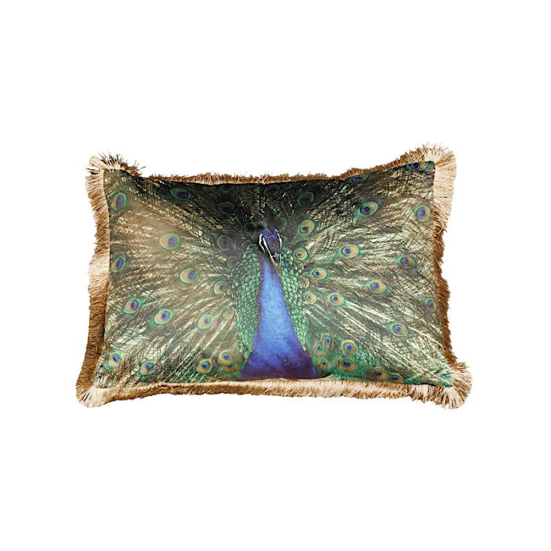 Coussin paon à franges – parade nuptiale de Léon | Deco-Delight.com