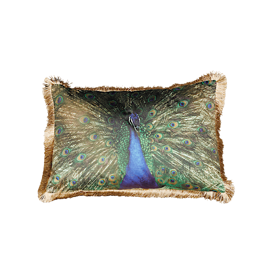 Coussin paon à franges – parade nuptiale de Léon | Deco-Delight.com