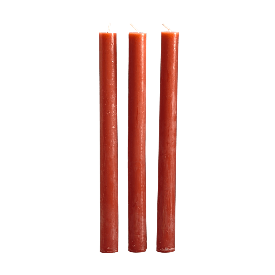 Bougie chandelle Corail H25 cm Lot de 3 | Deco-Delight.com