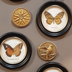 Composition de décorations murales dorées avec le médaillon Ex-Voto et des cadres de papillons naturalisés.