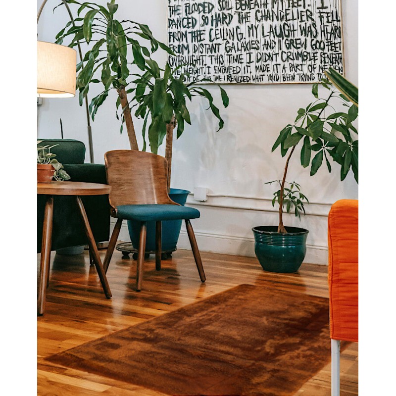 Tapis marron sur le parquet d'un salon avec mobilier en bois et plantes.