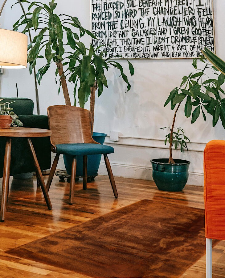 Tapis marron sur le parquet d'un salon avec mobilier en bois et plantes.
