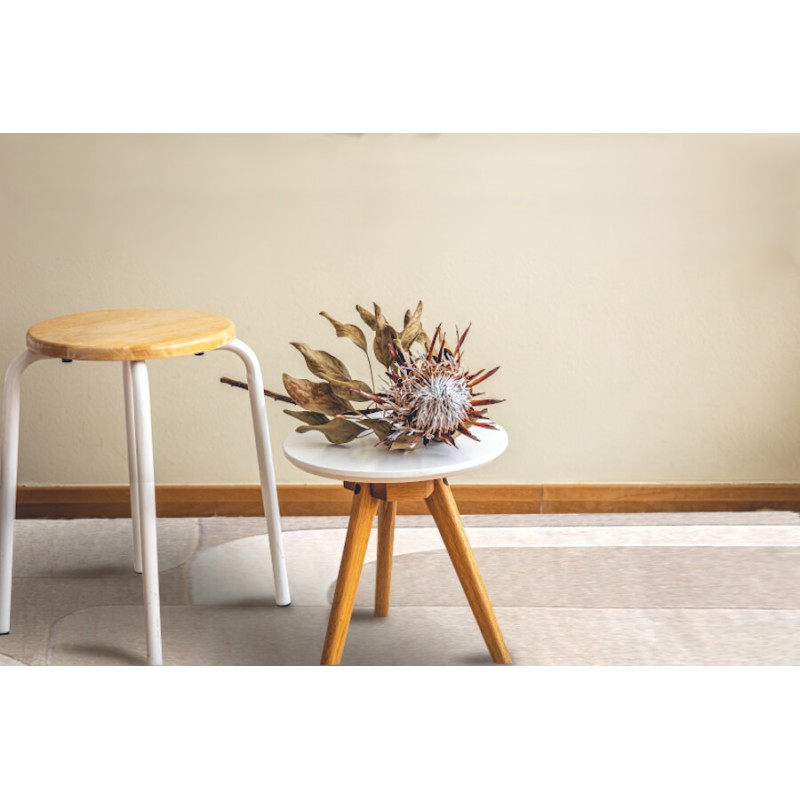 Design minimaliste s'intégrant parfaitement avec une décoration naturelle.