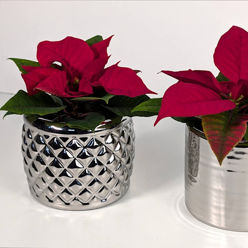 Cache-pot texture argentée rond H9.5 cm | Deco-Delight.com