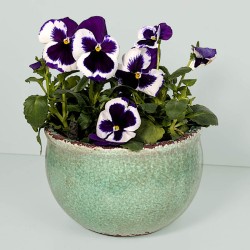 Cache-pot vert d’eau céramique H12 cm | Deco-Delight.com