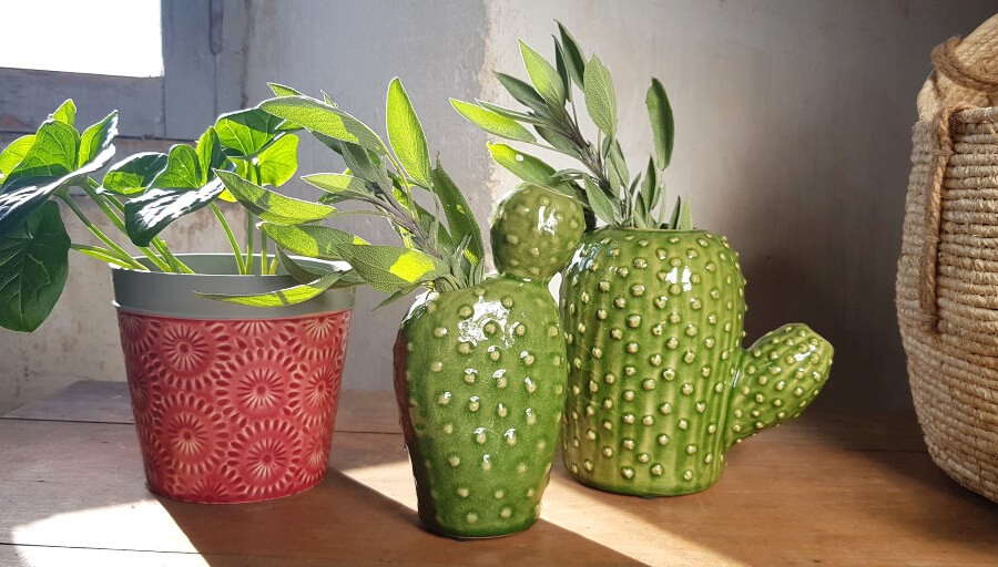 Cache-pot fleurs de pissenlit H12.5 cm | Deco-Delight.com