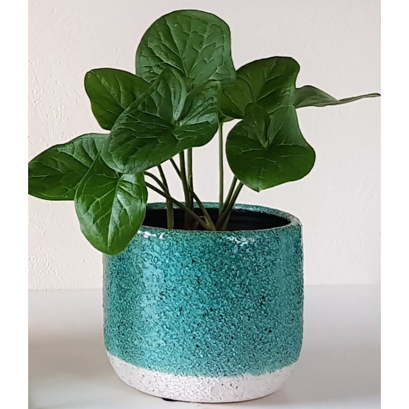 Cache-Pot Turquoise en Céramique à Grain Épais H11,5 cm | Deco-Delight