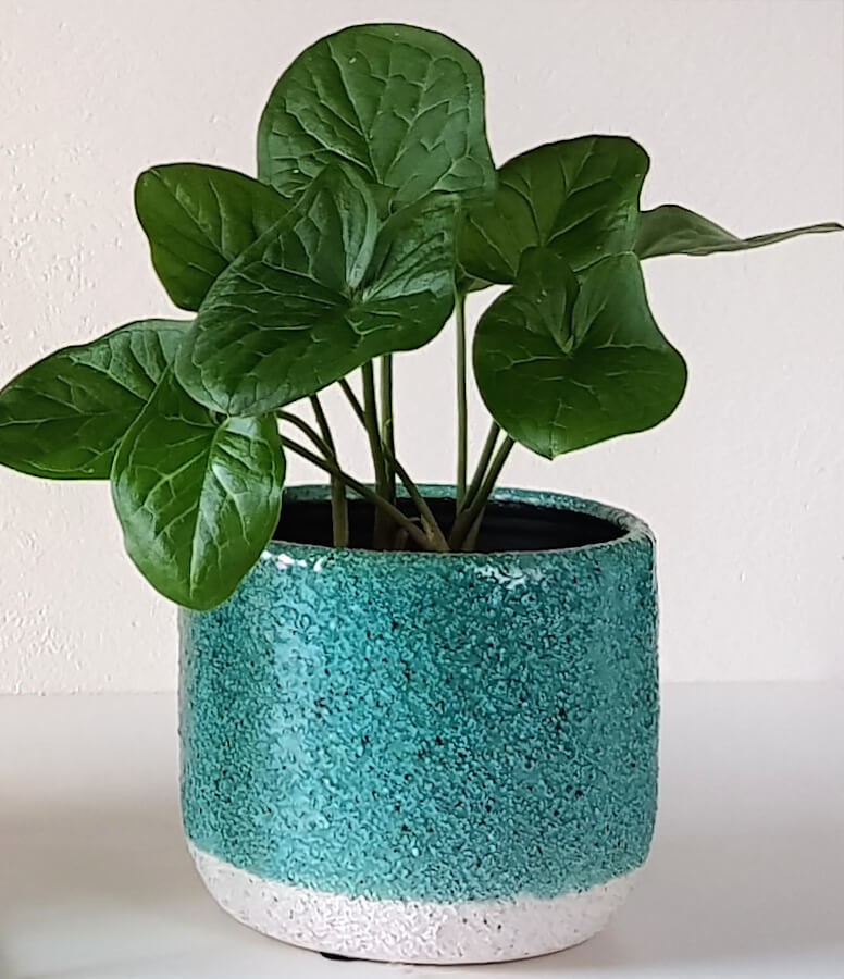 Cache-Pot Turquoise en Céramique à Grain Épais H11,5 cm | Deco-Delight