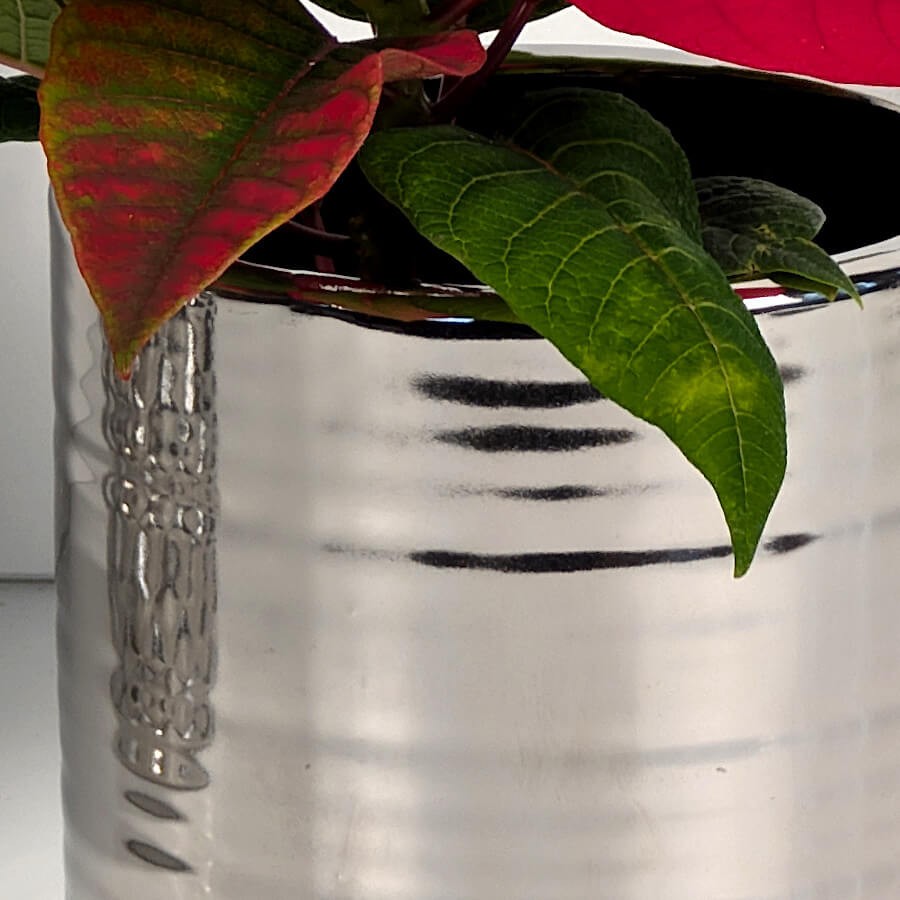 Détail des cannelures façon boîte de conserve et reflets miroir.