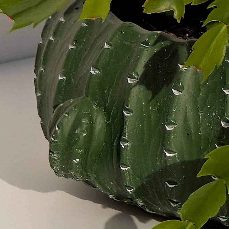 Détail réaliste des reliefs et épines blanches sur céramique verte.