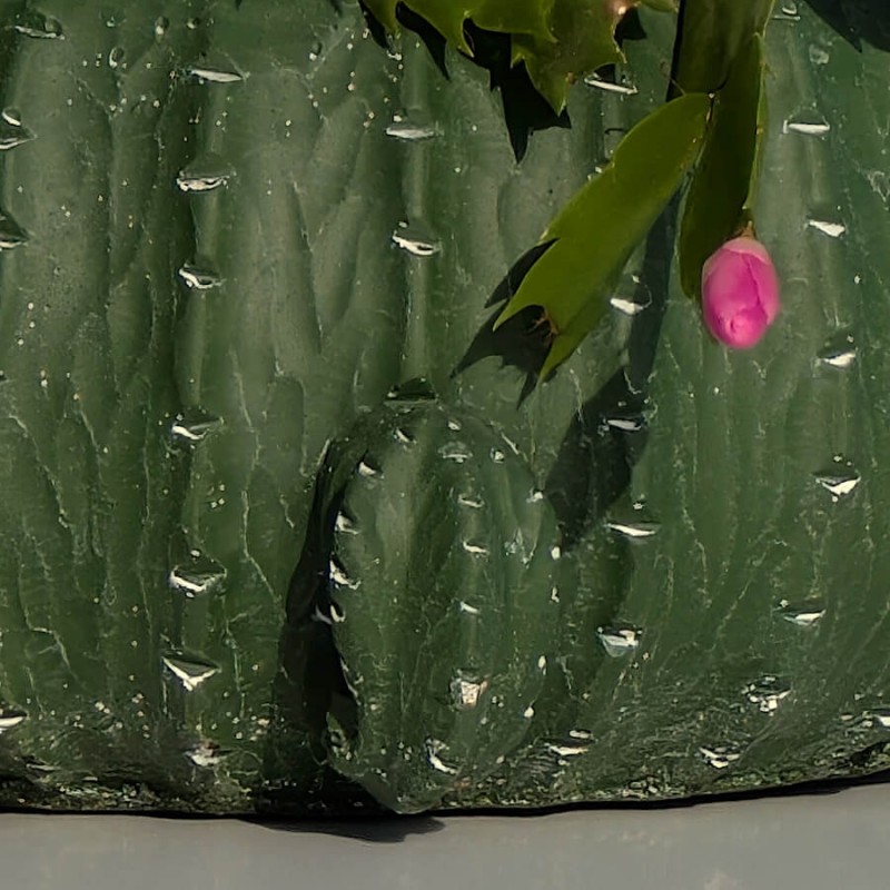 Focus sur la finition mate et le travail de sculpture du cache-pot Cactus.