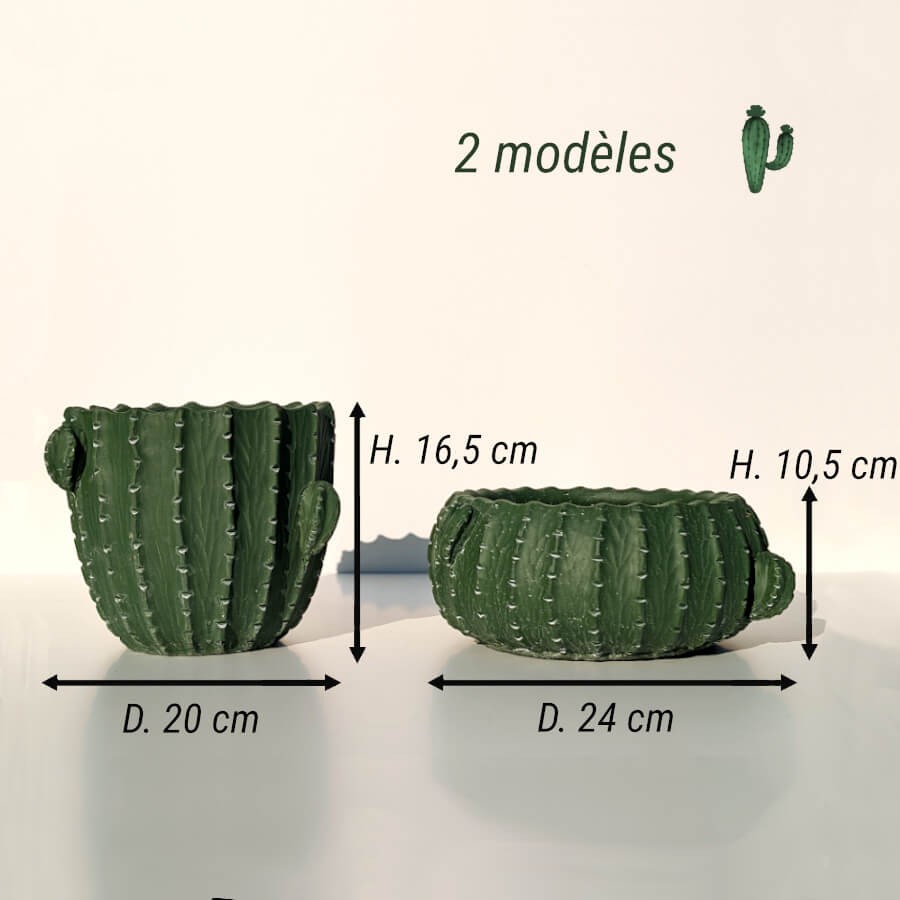 Comparaison des deux modèles de cache-pots cactus de la collection Deco-Delight.