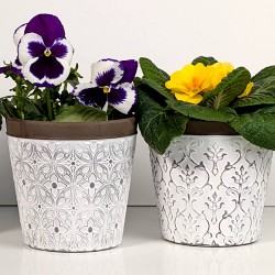 Duo de pots avec pensées violettes et primevères jaunes.