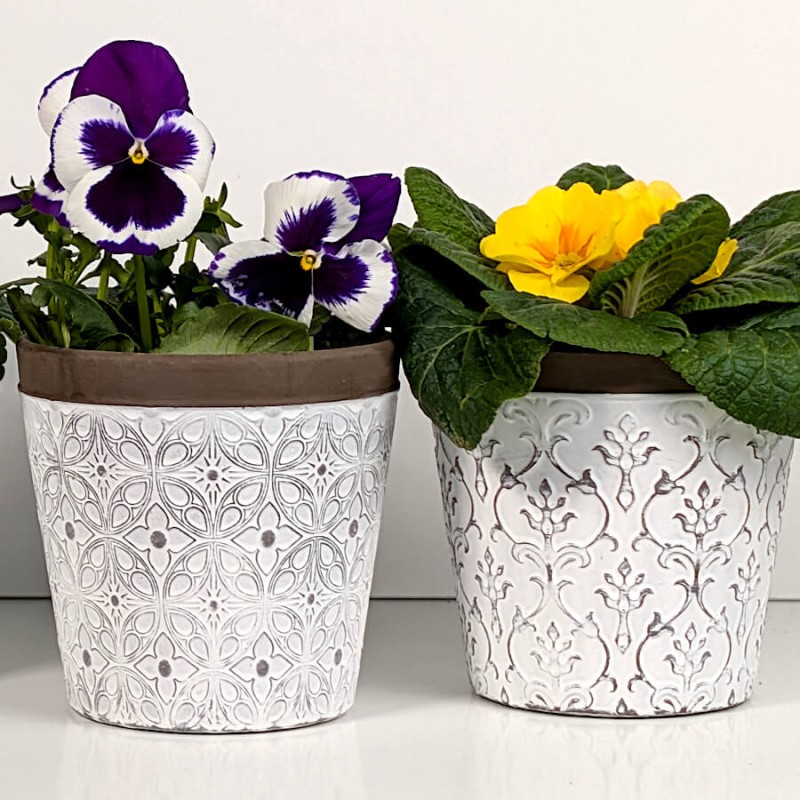 Duo de pots avec pensées violettes et primevères jaunes.