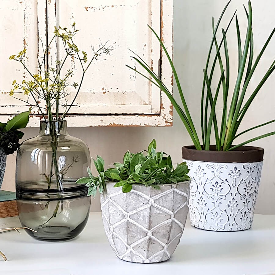 Cache-pots dentelle avec plantes vertes et vases en verre bleu de la collection Deco-Delight.