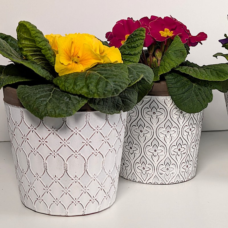 Duo de pots en céramique avec primevères jaunes et fuchsia.