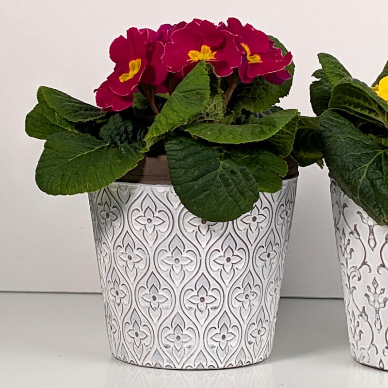Cache-pot aux motifs de fleurs stylisées accueillant une primevère fuchsia.