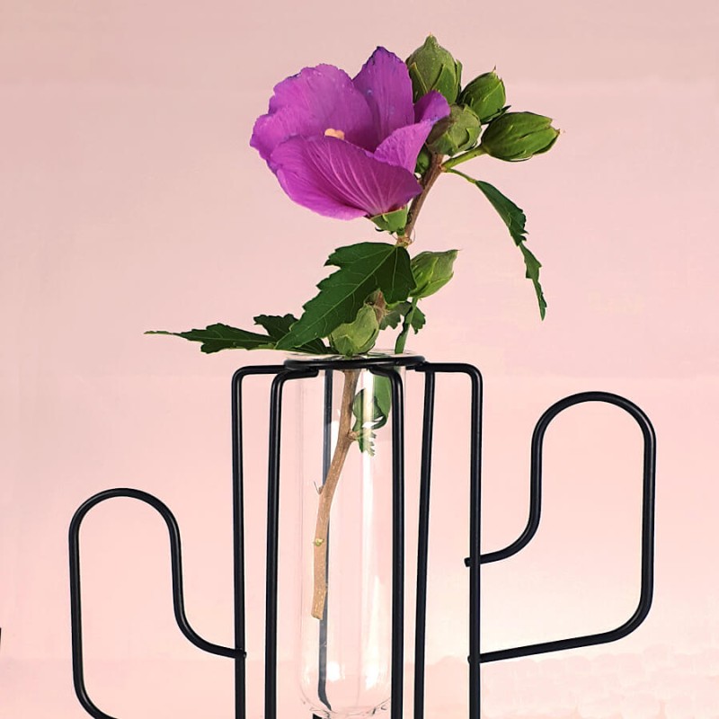 Soliflore cactus mettant en valeur une fleur d'hibiscus rose.