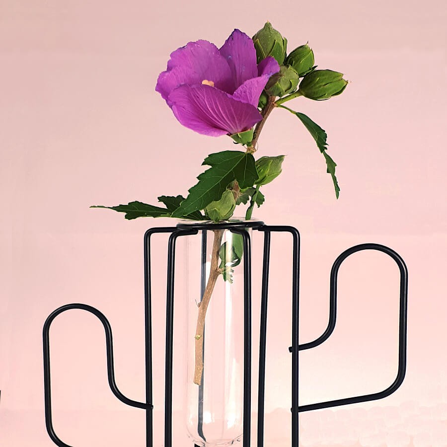 Soliflore cactus mettant en valeur une fleur d'hibiscus rose.