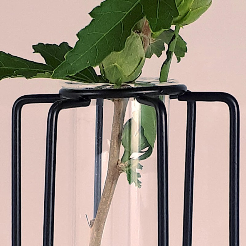 Détail de l'éprouvette en verre insérée dans le support métallique.