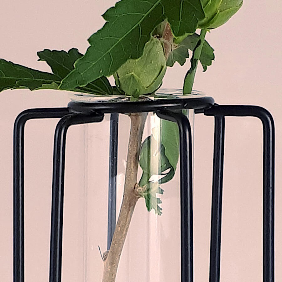 Détail de l'éprouvette en verre insérée dans le support métallique.