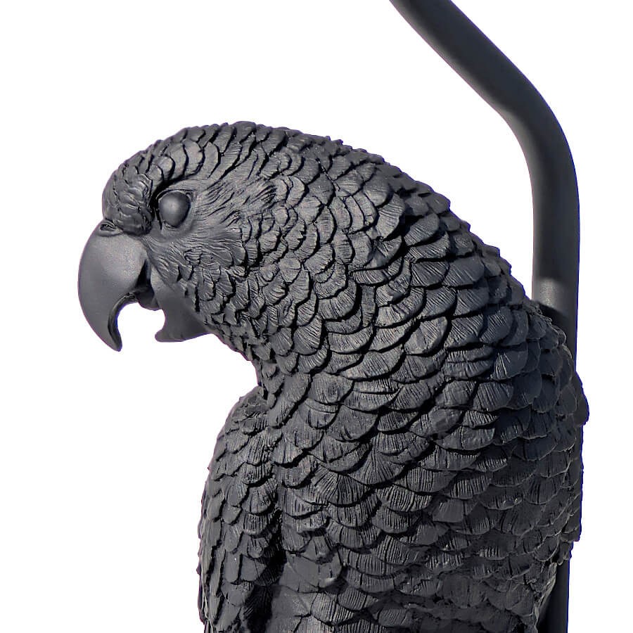 Zoom sur le profil du perroquet montrant le détail des plumes gravées.