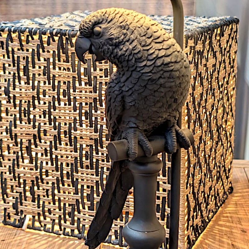 Le perroquet noir mat perché sur sa tige de support en métal, vue rapprochée.