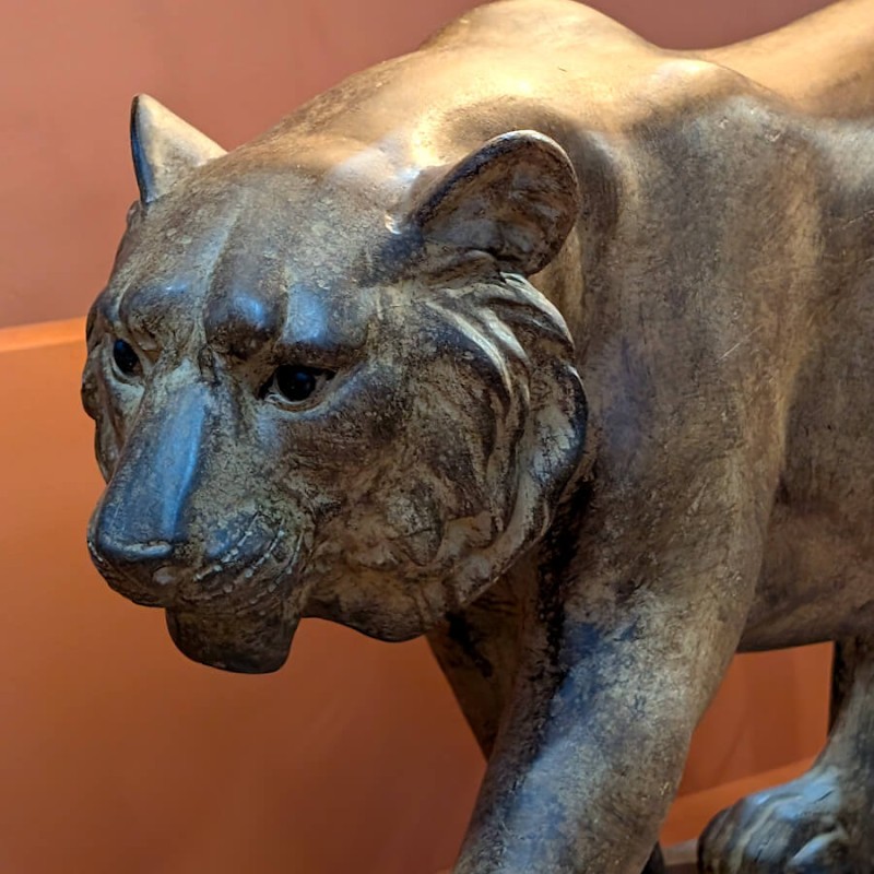 Gros plan sur le regard et les détails finement travaillés de la tête du tigre.