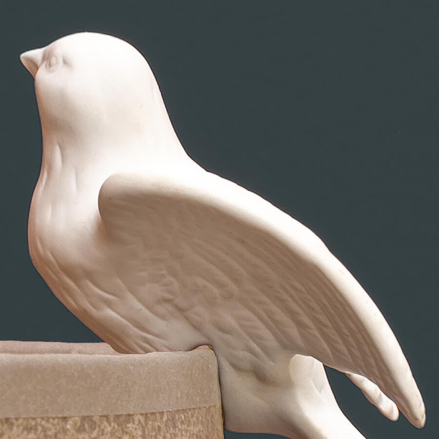 Zoom sur le profil gracieux de l'oiseau et la finesse de ses ailes.