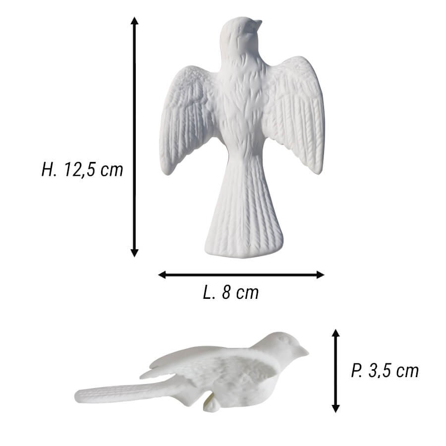 Schéma technique indiquant les dimensions : H 12,5 cm, L 8 cm et P 3,5 cm.
