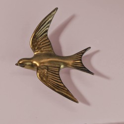 Vue de profil soulignant le relief et la dynamique du vol de l'oiseau.