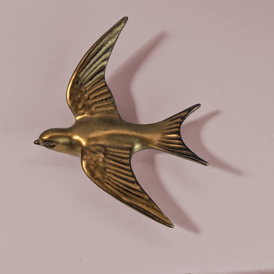 Vue de profil soulignant le relief et la dynamique du vol de l'oiseau.