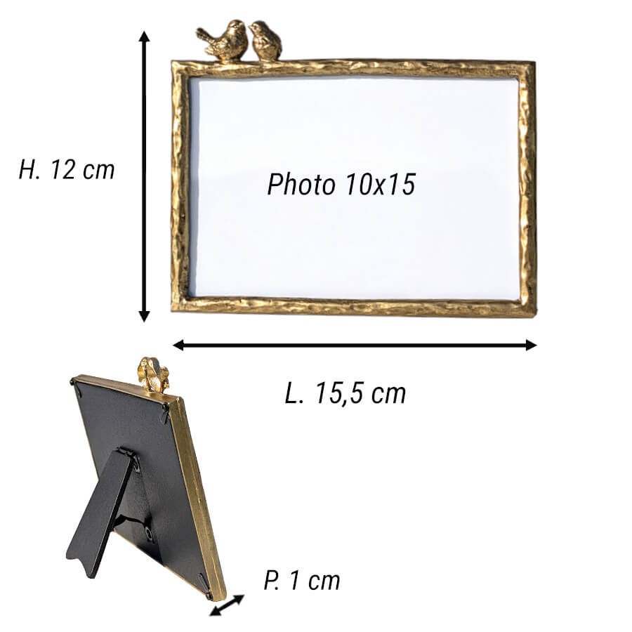 Schéma technique des dimensions : L 15,5 cm, H 12 cm et format photo 10x15 cm.