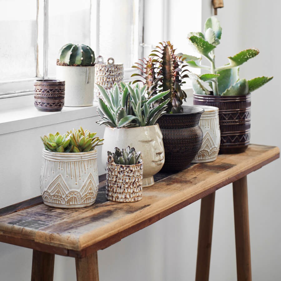 Alignement de pots de différents styles sur une console en bois.