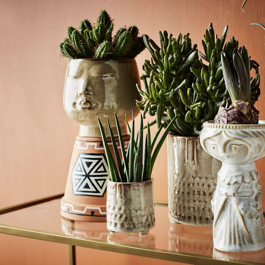 Mise en situation avec plusieurs succulentes dans des pots de style Arty.