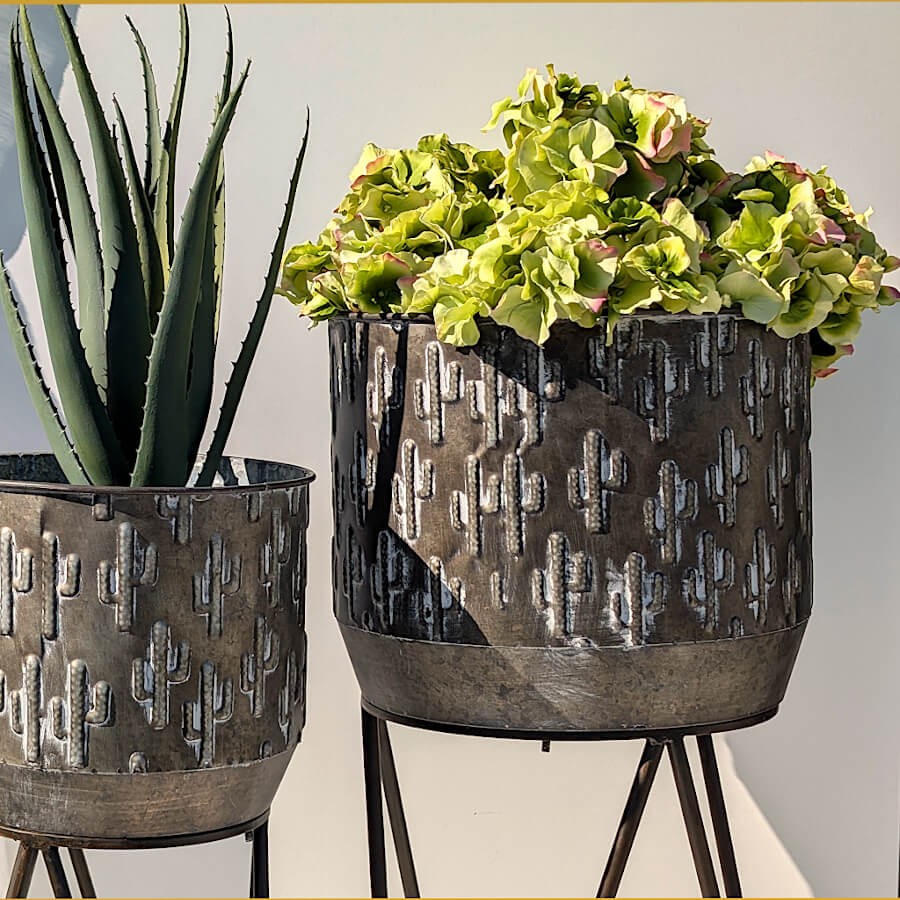 Duo de cache-pots (grand et petit) mettant en valeur le jeu de hauteurs.