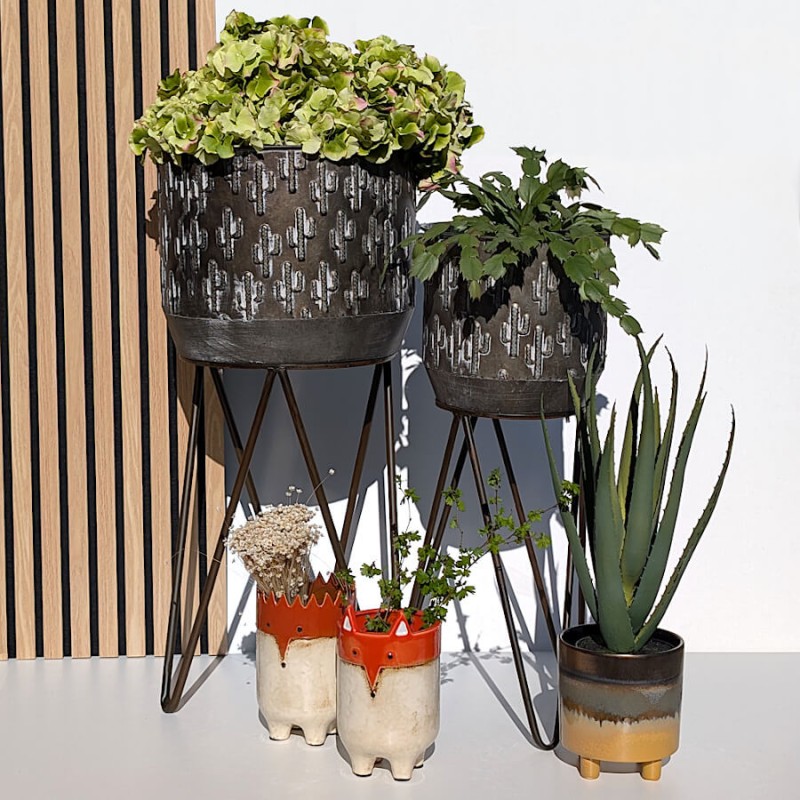 Composition regroupant les deux modèles de cache-pot cactus et d'autres pots et cache-pots céramiques Deco-Delight.