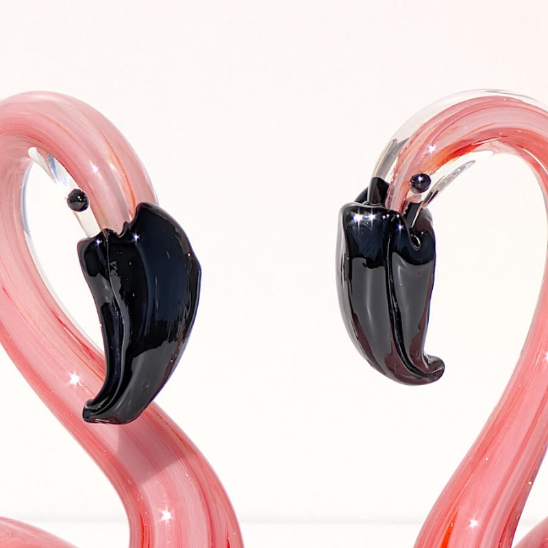 Détail rapproché sur les têtes et les becs noirs contrastés.