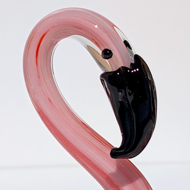 Focus sur le dégradé de couleurs marbrées du flamant rose.