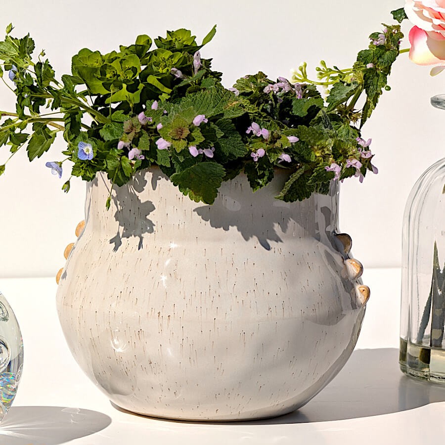 Mise en situation avec une plante verte soulignant le design organique.