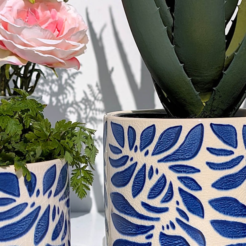 Focus sur l'Aloe Vera majestueux trônant dans le grand cache-pot.