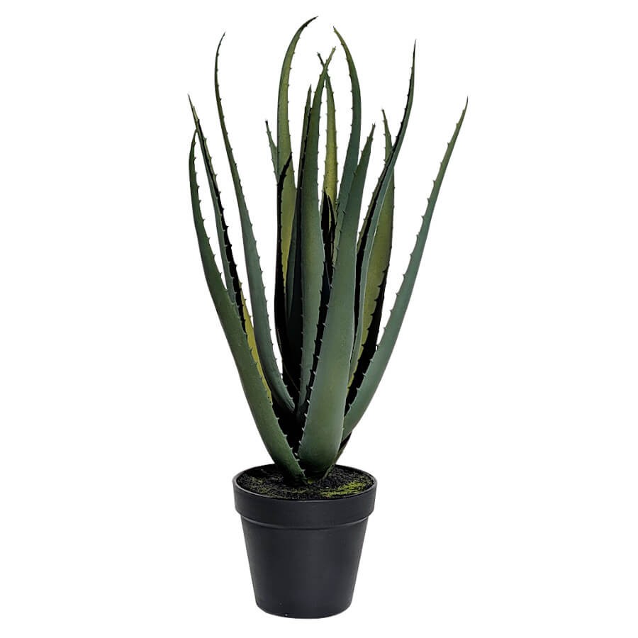 L'Aloe Vera artificiel haut de 50 cm dans son pot de culture noir de diamètre 12,5 cm.
