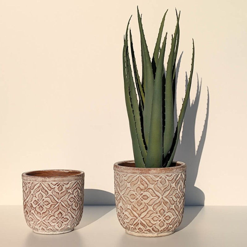 L'Aloe vera avec des cache-pots aux motifs ethniques beiges du catalogue Deco-Delight.