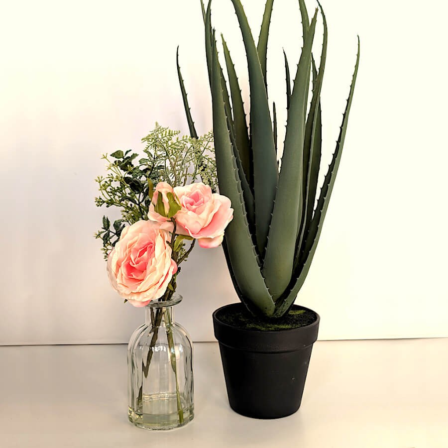 Détail de la plante à côté d'un vase soliflore transparent rempli de roses, proposé par Deco-Delight.