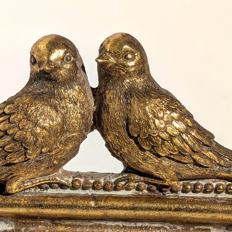 Vue rapprochée sur le duo de moineaux dorés, montrant les détails des plumes.