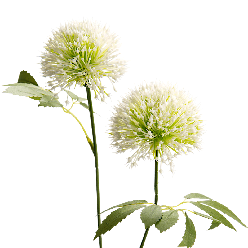 Présentation de la tige d'Allium Nigrum artificielle montrant les deux ombelles blanc et vert clair.