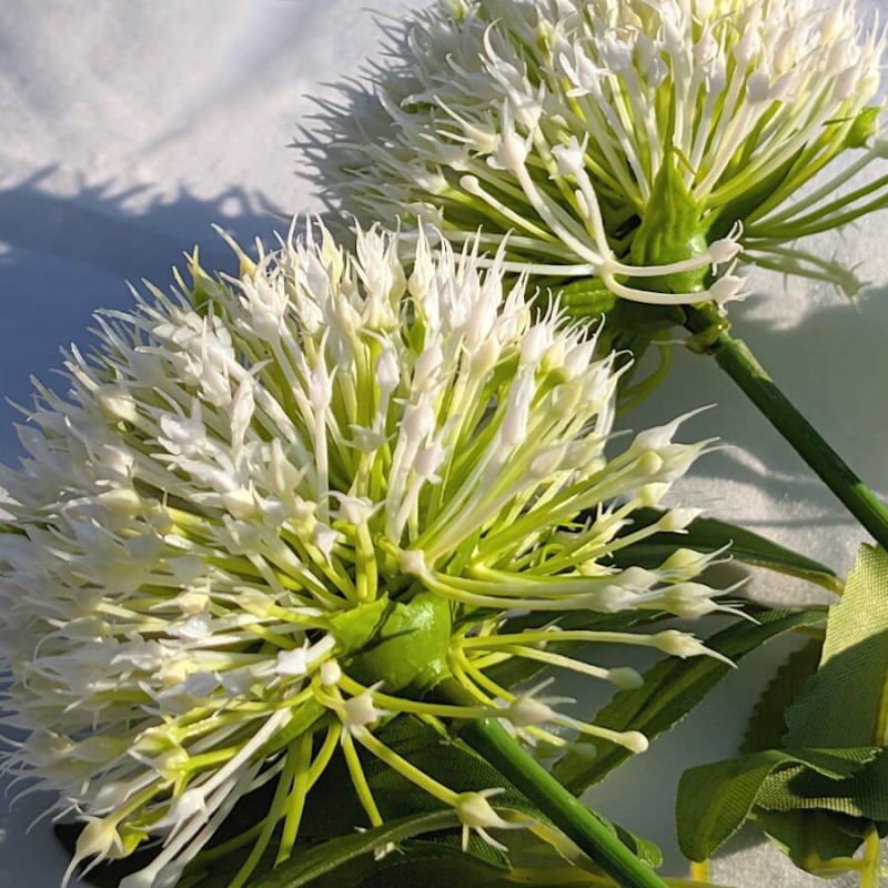 Zoom sur les fleurs montrant la finesse des pétales et le cœur de l'ombelle.