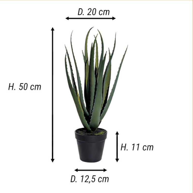 Schéma technique : H 50 cm, D 20 cm, Pot H 11 cm x D 12,5 cm.
