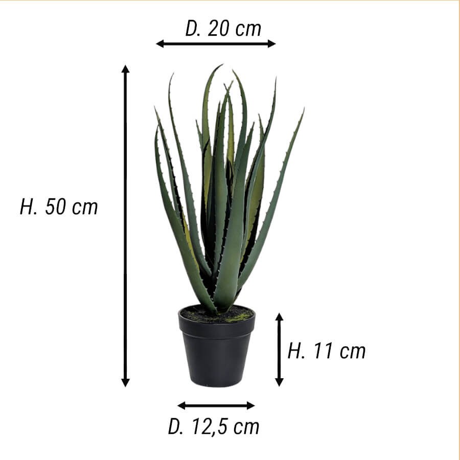 Schéma technique : H 50 cm, D 20 cm, Pot H 11 cm x D 12,5 cm.