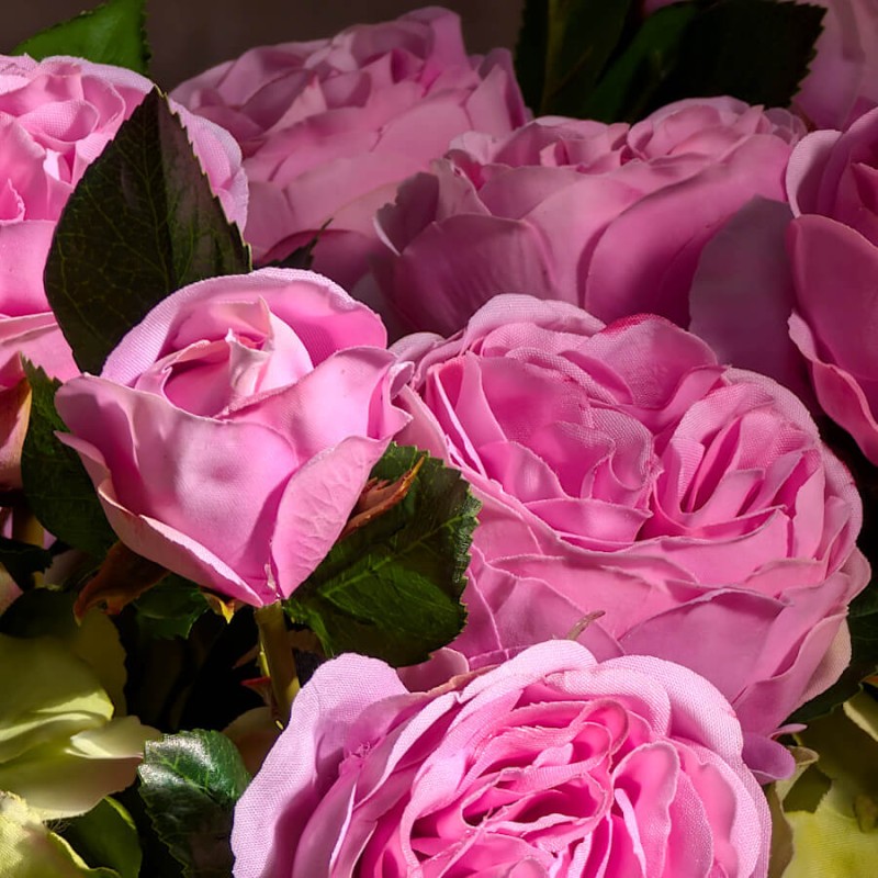 Zoom sur la texture des pétales soyeux et le dégradé de rose fuchsia.